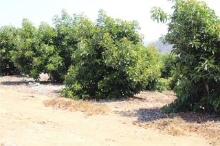 4 Via Vaquero Road, Temecula, CA 92590