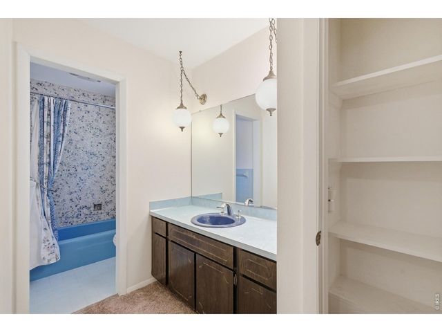 3303 Barela Ct, Loveland, CO 80538