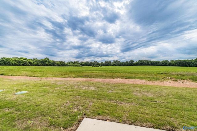 147 Flintlock Way, New Market, AL 35761