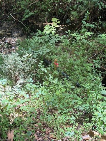 TBD Old Nc Highway 16, Millers Creek, NC 28651
