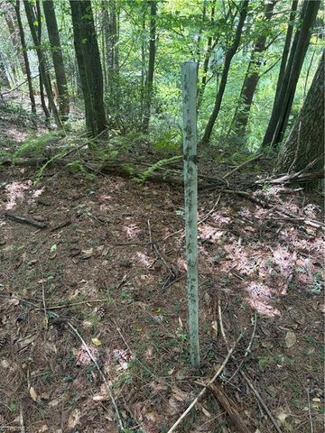 TBD Old Nc Highway 16, Millers Creek, NC 28651