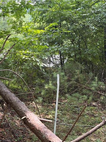 TBD Old Nc Highway 16, Millers Creek, NC 28651
