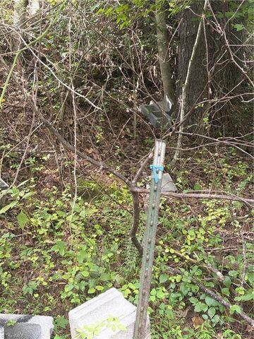 TBD Old Nc Highway 16, Millers Creek, NC 28651