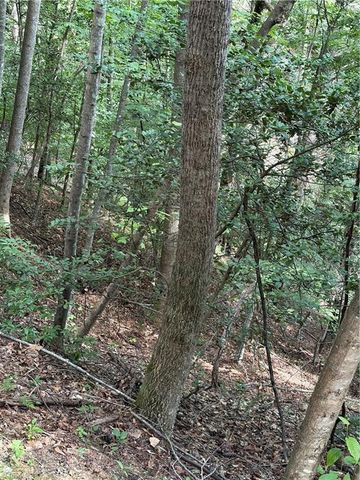TBD Old Nc Highway 16, Millers Creek, NC 28651