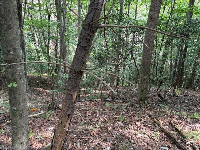 TBD Old Nc Highway 16, Millers Creek, NC 28651