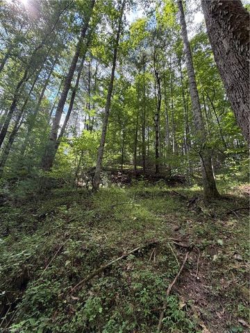 TBD Old Nc Highway 16, Millers Creek, NC 28651