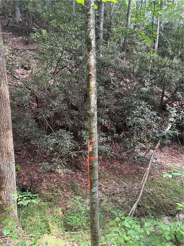 TBD Old Nc Highway 16, Millers Creek, NC 28651