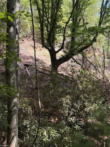 TBD Old Nc Highway 16, Millers Creek, NC 28651