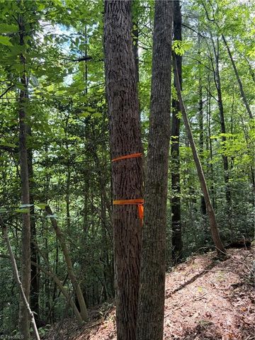 TBD Old Nc Highway 16, Millers Creek, NC 28651