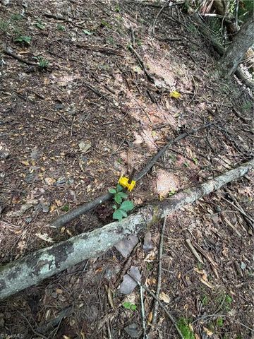 TBD Old Nc Highway 16, Millers Creek, NC 28651