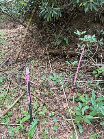 TBD Old Nc Highway 16, Millers Creek, NC 28651