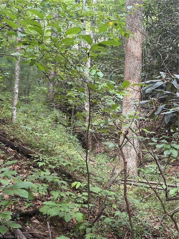 TBD Old Nc Highway 16, Millers Creek, NC 28651