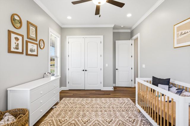 126 Black Bear Cove Road, Englewood, TN 37329