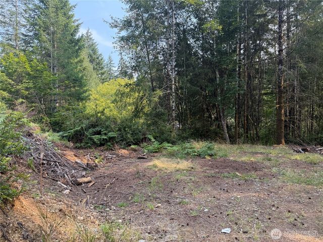 31 E Tintagel Place, Shelton, WA 98584