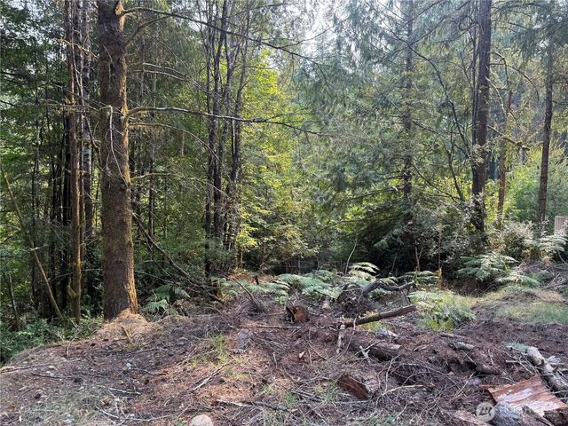 31 E Tintagel Place, Shelton, WA 98584