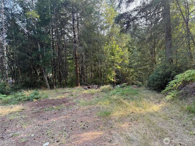 31 E Tintagel Place, Shelton, WA 98584