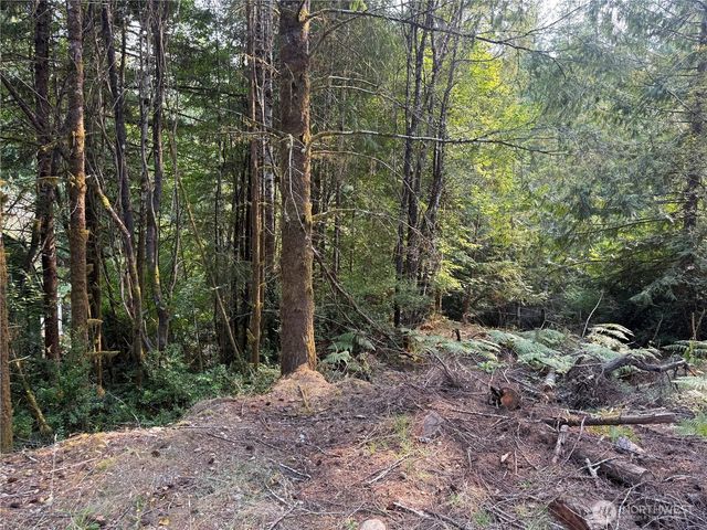 31 E Tintagel Place, Shelton, WA 98584