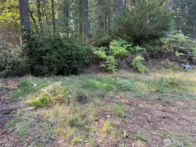 31 E Tintagel Place, Shelton, WA 98584