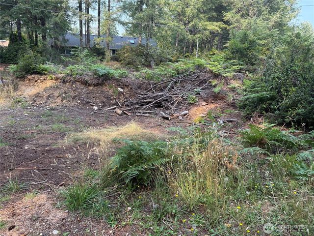 31 E Tintagel Place, Shelton, WA 98584