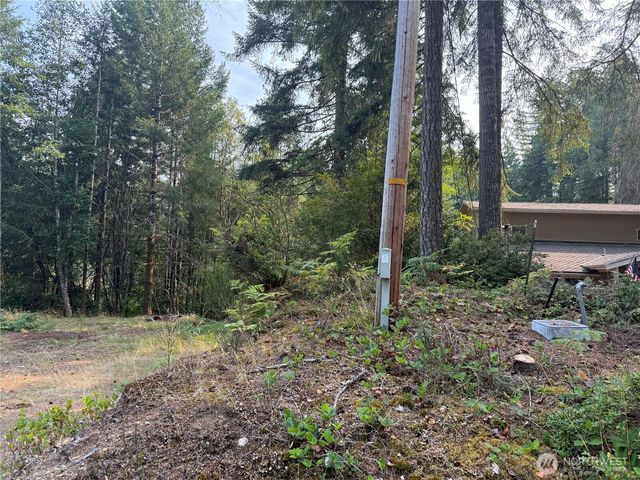 31 E Tintagel Place, Shelton, WA 98584