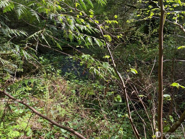 31 E Tintagel Place, Shelton, WA 98584