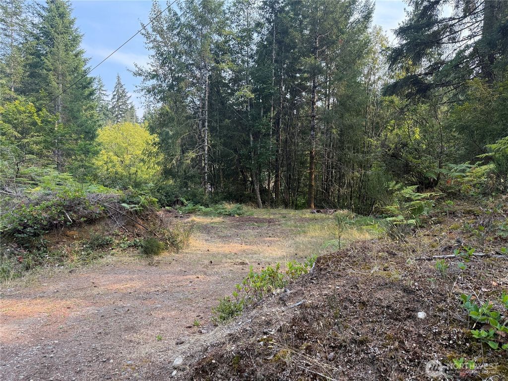 31 E Tintagel Place, Shelton, WA 98584