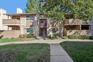 146 Damsen Drive, San Jose, CA 95116