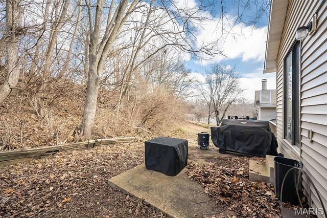 537 Treetop Village Drive, Ballwin, MO 63021