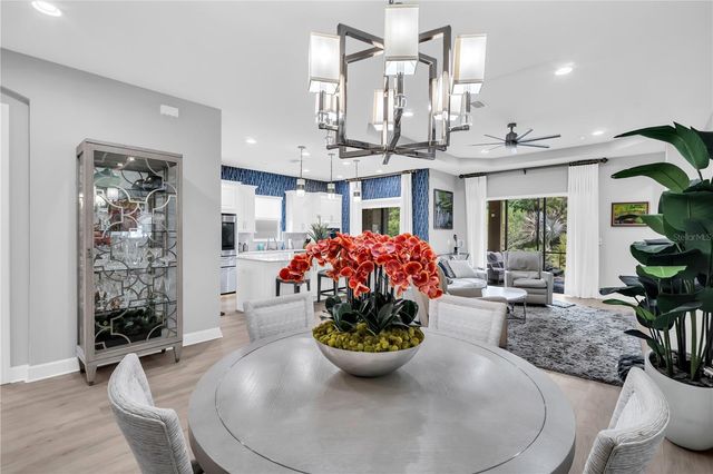 20161 UMBRIA HILL DRIVE, Tampa, FL 33647