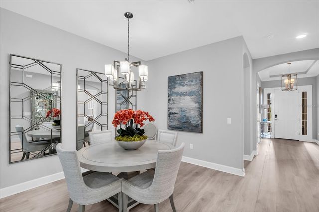 20161 UMBRIA HILL DRIVE, Tampa, FL 33647