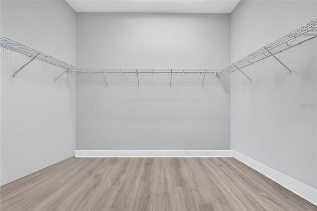 20161 UMBRIA HILL DRIVE, Tampa, FL 33647