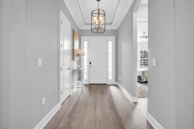 20161 UMBRIA HILL DRIVE, Tampa, FL 33647