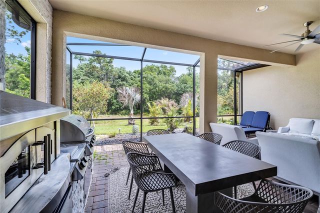 20161 UMBRIA HILL DRIVE, Tampa, FL 33647