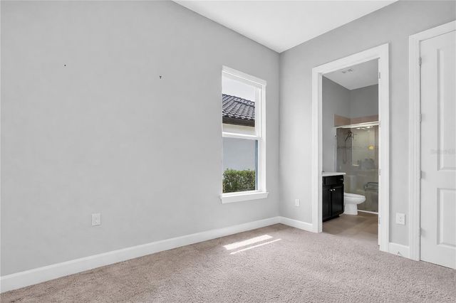 20161 UMBRIA HILL DRIVE, Tampa, FL 33647