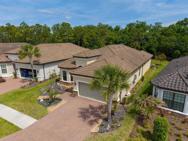 20161 UMBRIA HILL DRIVE, Tampa, FL 33647