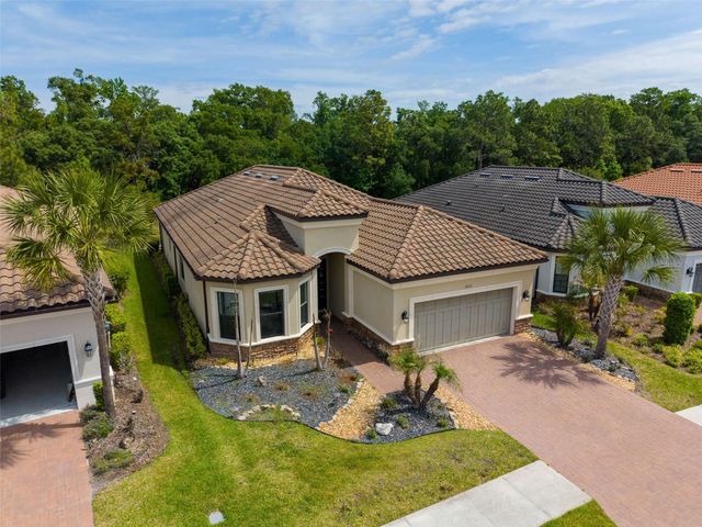 20161 UMBRIA HILL DRIVE, Tampa, FL 33647