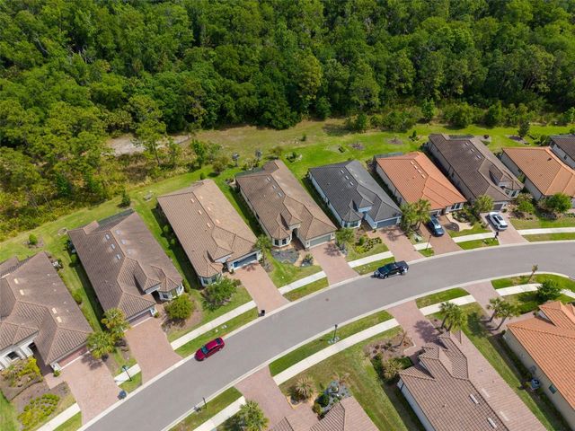 20161 UMBRIA HILL DRIVE, Tampa, FL 33647