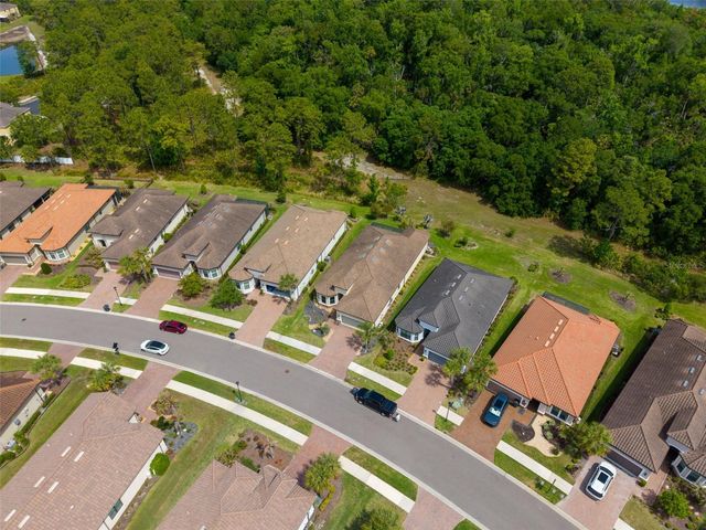 20161 UMBRIA HILL DRIVE, Tampa, FL 33647