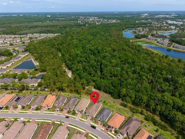 20161 UMBRIA HILL DRIVE, Tampa, FL 33647