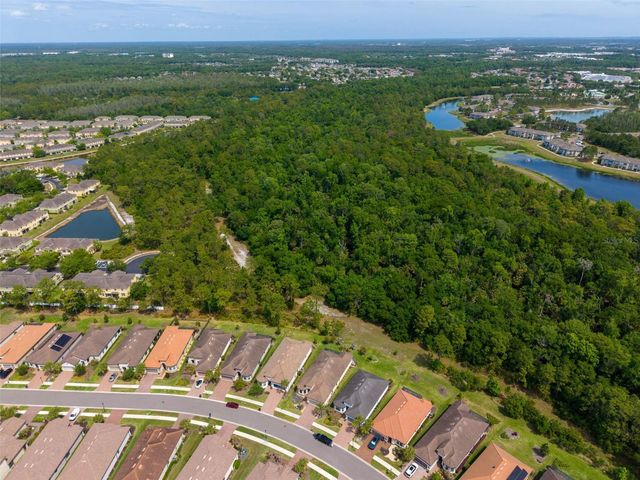 20161 UMBRIA HILL DRIVE, Tampa, FL 33647