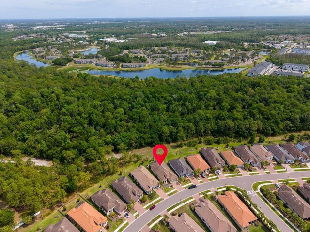 20161 UMBRIA HILL DRIVE, Tampa, FL 33647