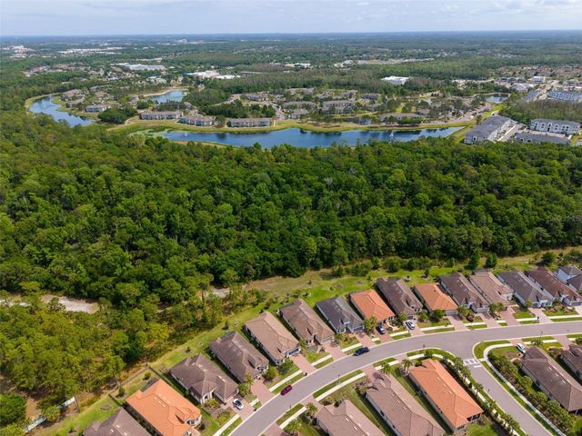 20161 UMBRIA HILL DRIVE, Tampa, FL 33647