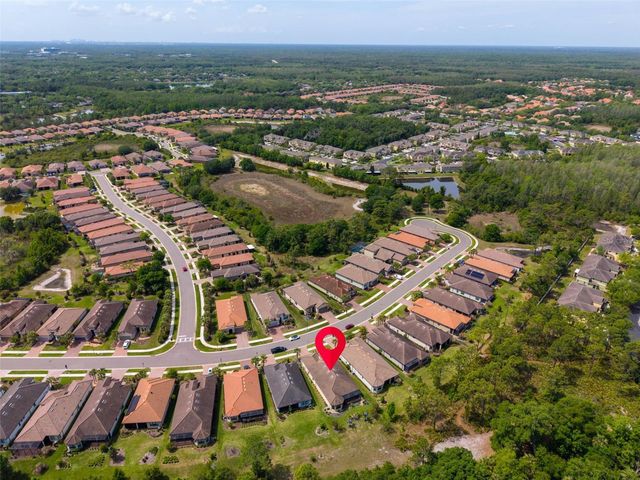 20161 UMBRIA HILL DRIVE, Tampa, FL 33647