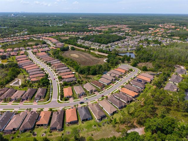 20161 UMBRIA HILL DRIVE, Tampa, FL 33647