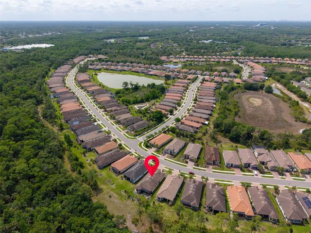 20161 UMBRIA HILL DRIVE, Tampa, FL 33647