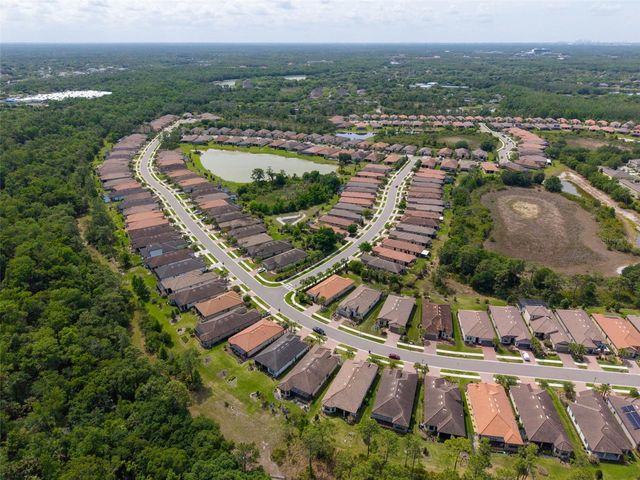 20161 UMBRIA HILL DRIVE, Tampa, FL 33647