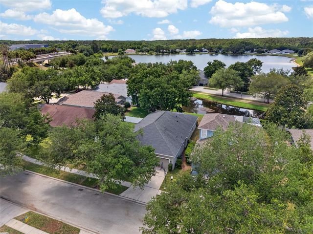 5017 TORREY HILLS LANE, Lutz, FL 33558