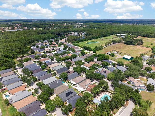5017 TORREY HILLS LANE, Lutz, FL 33558