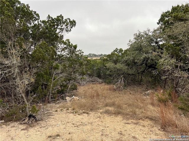 713 STAGECOACH TRL, Spring Branch, TX 78070