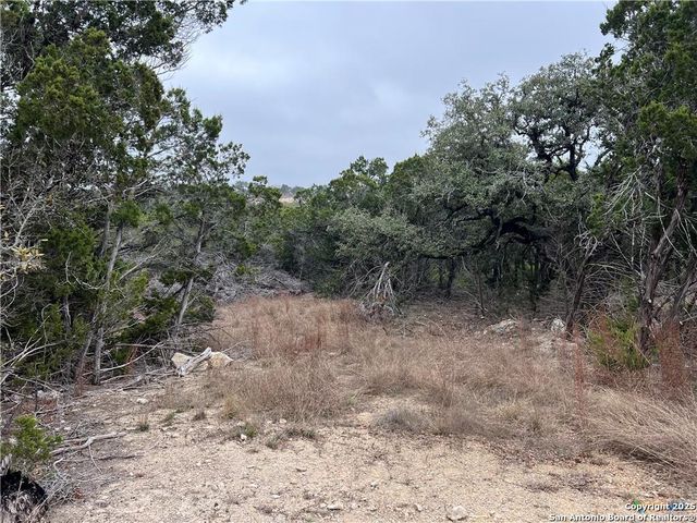 713 STAGECOACH TRL, Spring Branch, TX 78070